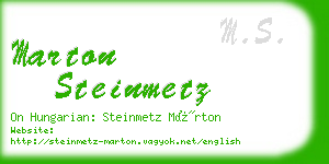 marton steinmetz business card